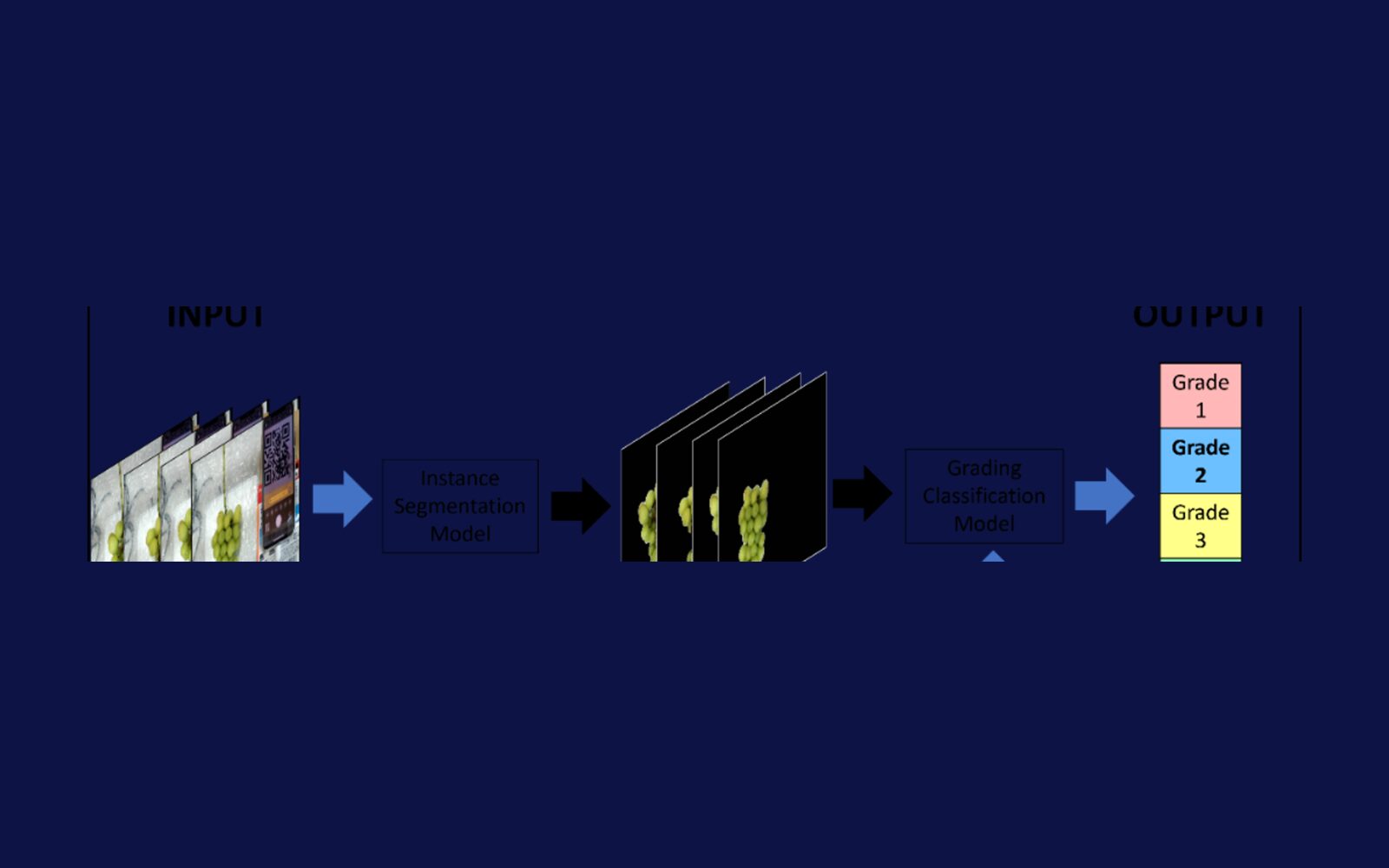 The grape grading pipeline: AI segments the cluster from images and combines it with weight data to predict a grade.