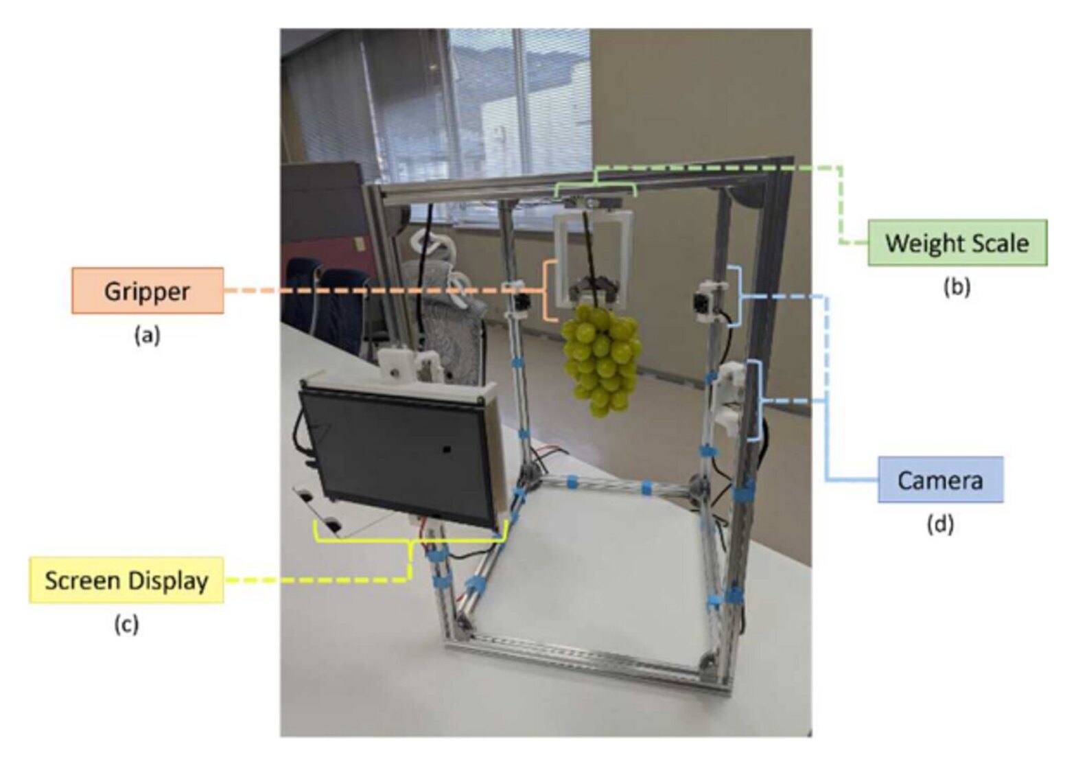 ぶどう等級判定システムの試作機。グリッパー、重量計、カメラ、表示画面を備え、房を吊るして計測する。